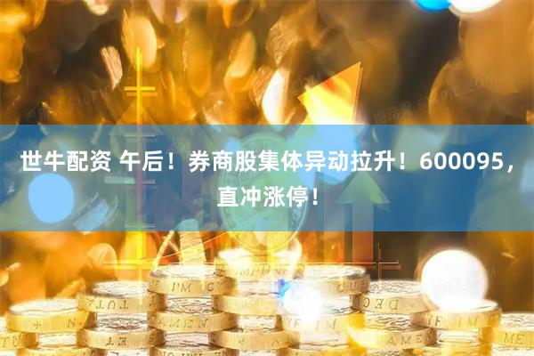 世牛配资 午后！券商股集体异动拉升！600095，直冲涨停！