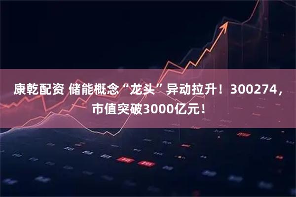 康乾配资 储能概念“龙头”异动拉升！300274，市值突破3000亿元！